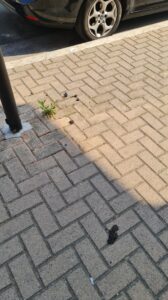 20210823 094814 168x300