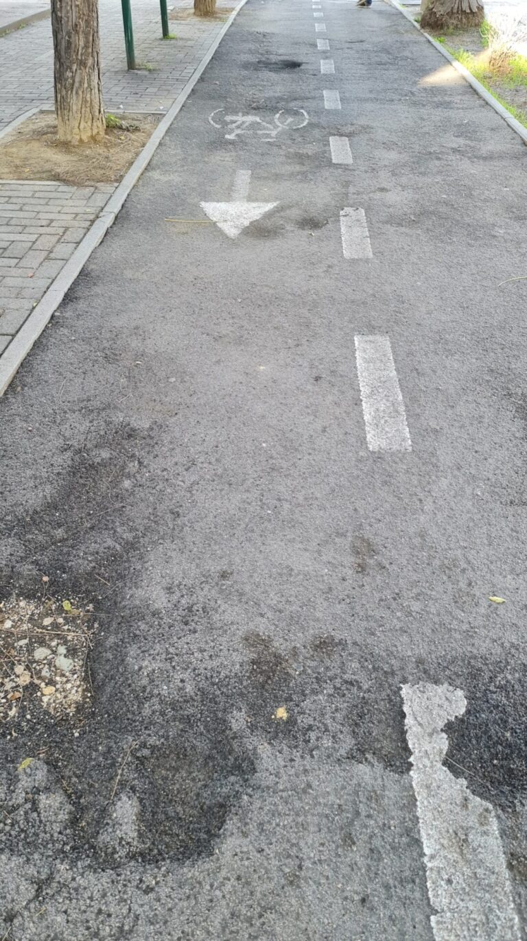 20211125 120521 768x1372