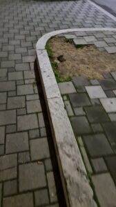 20211228 181255 168x300