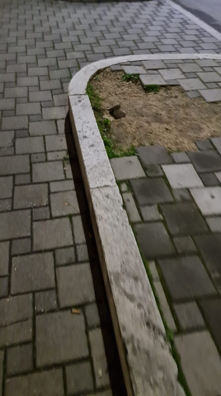 20211228 181255 768x1372