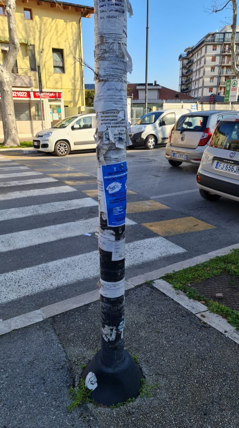 20220126 101911 768x1372