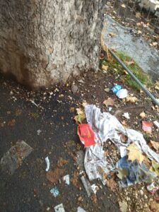 IMG 20211024 WA0004 225x300