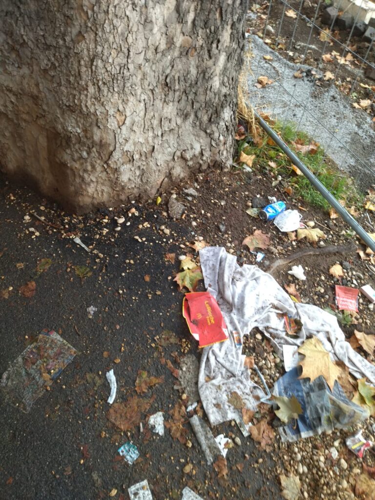 IMG 20211024 WA0004 768x1024