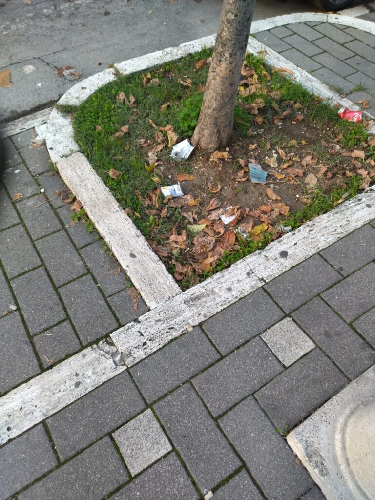 IMG 20211119 WA0023 768x1024