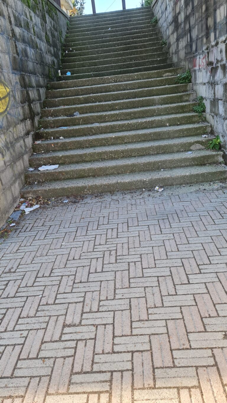 IMG 20211206 WA0018 768x1364