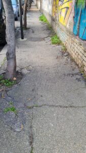 IMG 20211223 WA0000 169x300