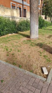 IMG 20220103 WA0001 169x300