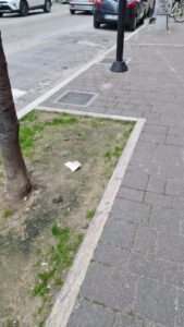 IMG 20220108 WA0000 169x300