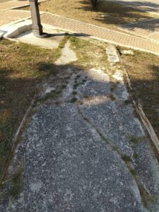 IMG 20211003 104315 225x300