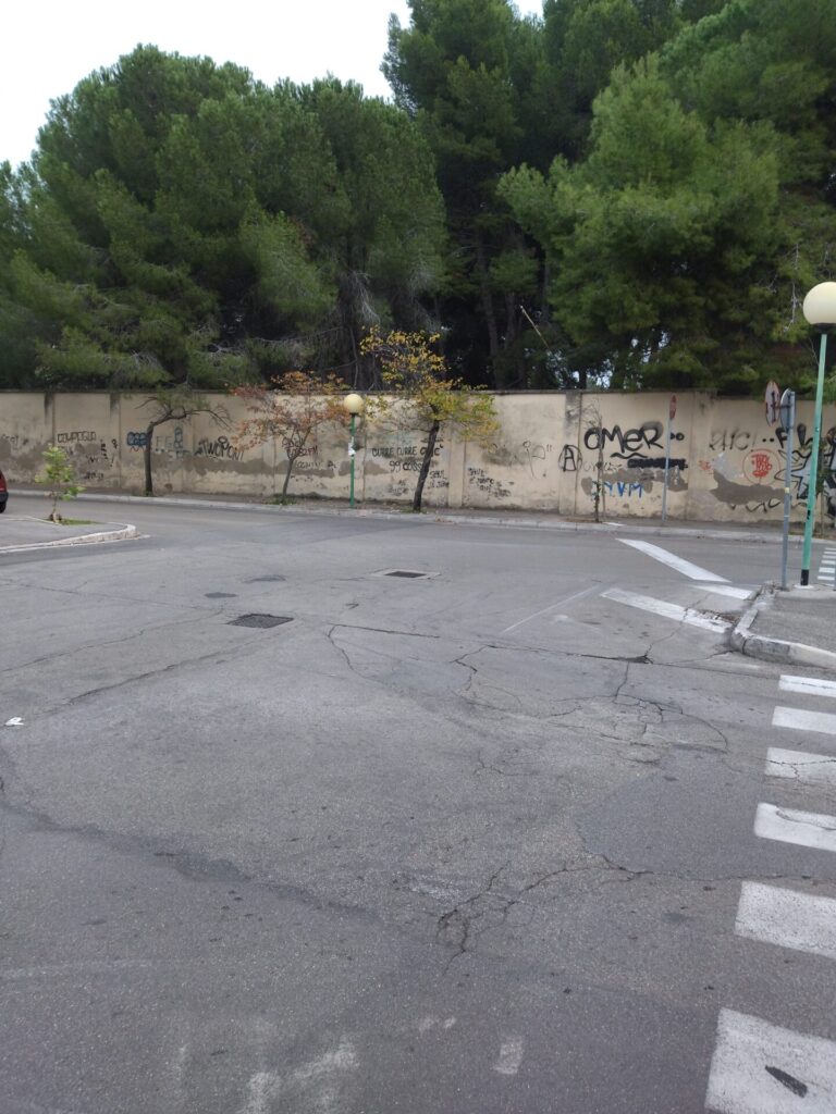 IMG 20211031 155549 768x1024