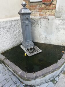 IMG 20211127 114102 225x300