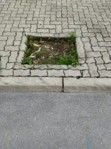 IMG 20211128 100546 225x300
