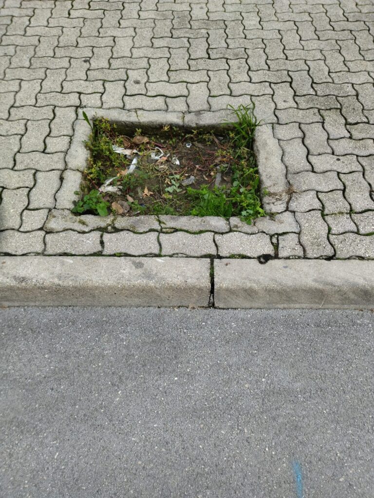IMG 20211128 100546 768x1024