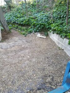 IMG 20211208 152139 225x300