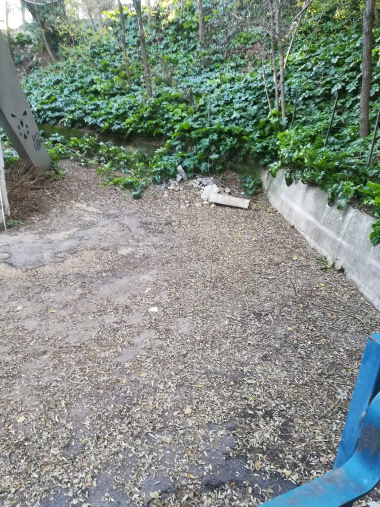 IMG 20211208 152139 768x1024