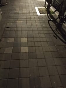 IMG 20220104 231729 225x300