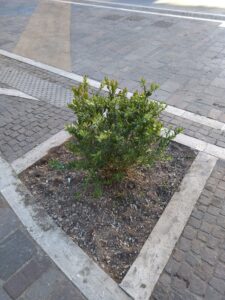 IMG 20220122 154741 225x300