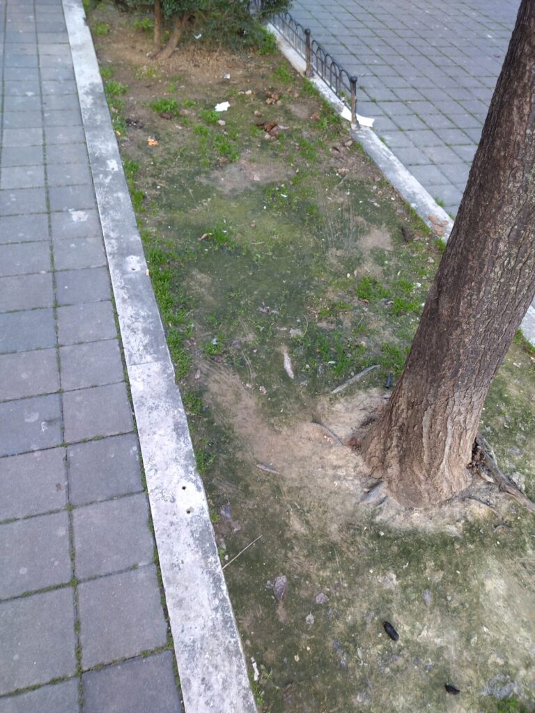 IMG 20220122 155952 768x1024