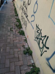 IMG 20220122 160312 225x300