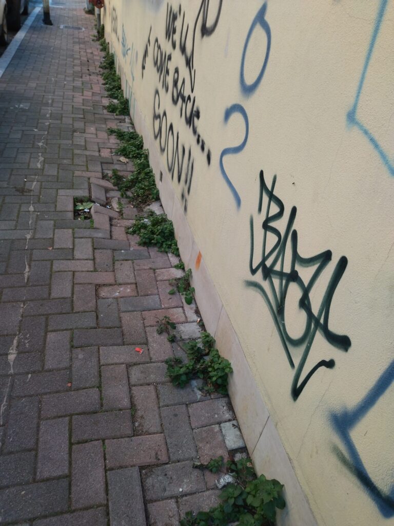 IMG 20220122 160312 768x1024