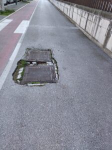 IMG 20220126 095055 225x300