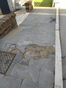 IMG 20220129 152550 1 225x300