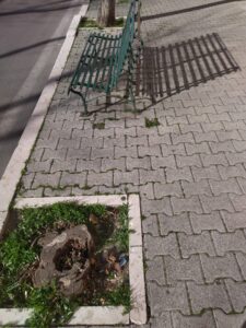 IMG 20220210 093020 225x300